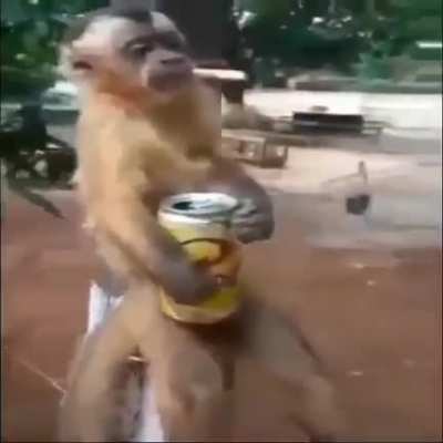 m&uacute;sica por favor