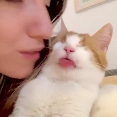 "I may be blind... but I can still feel your love, human"
