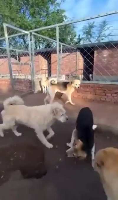 Cuando hay Quilombo y llega el m&aacute;s capo del grupo: