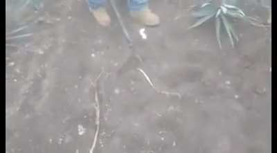 How