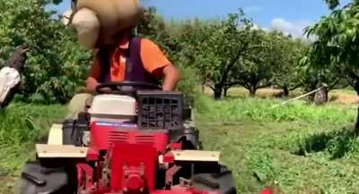 Glitchtrap engaged in Peach farming👨&zwj;🌾