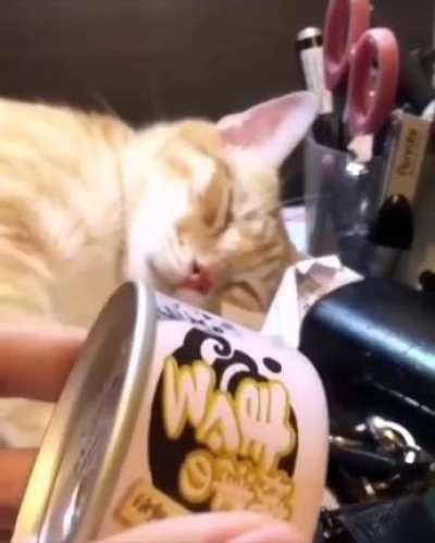 Are you sleepy?