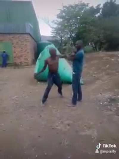 Crouching Lion, Biting snake.