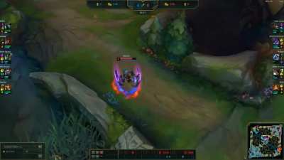 The Enemy Jungler