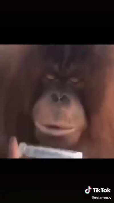 Oooooooo aaaaaaaaqaaaah🍌🍌🍌🍌🐒🐒🐒🙊🙊