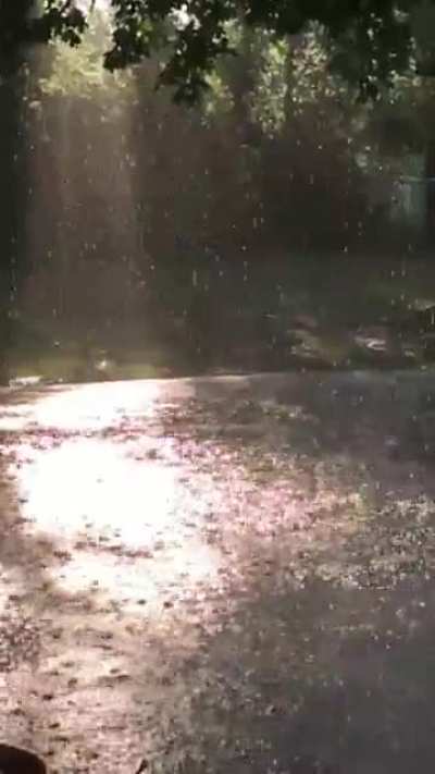 Golden hour shower