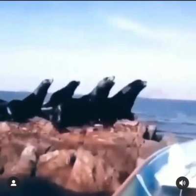 It&rsquo;s not the size of the dog in the fight, it&rsquo;s the size of the fight in the dog