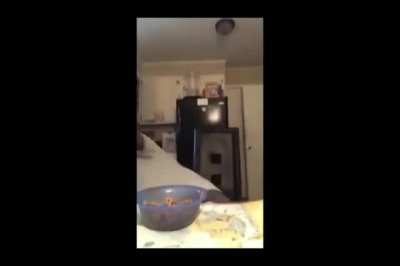 Lunch gone wrong