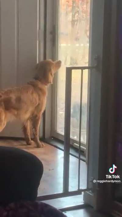 Seriously dude, I got you&hellip;just give me one more try