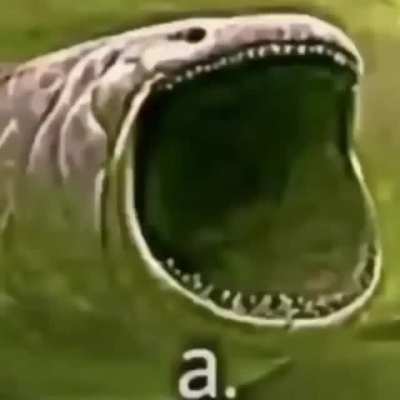 a.