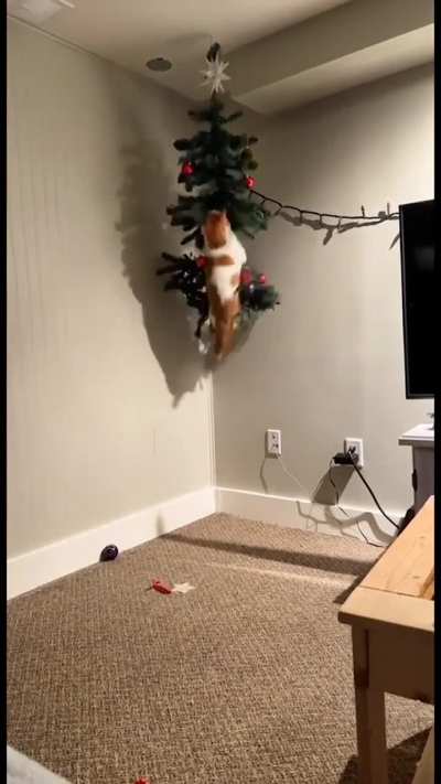 It&rsquo;s nearly that time