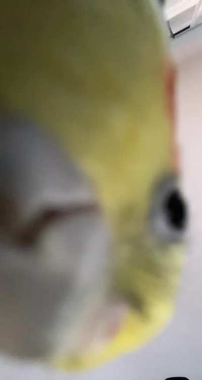 POV: you&rsquo;re a seed