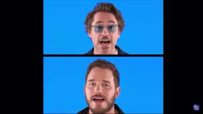 The Marvel Bunch