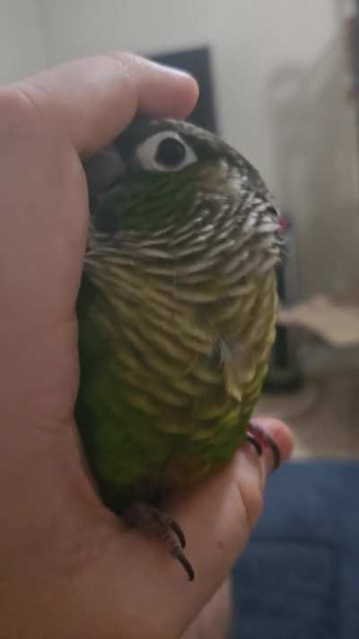 12/10 good bird
