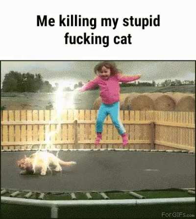 Die