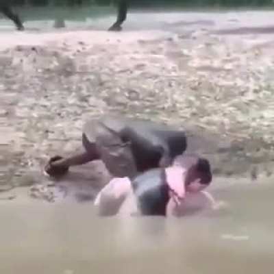 ... to cross the river.