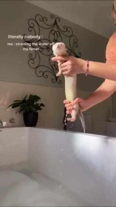 Ferret Bracelet