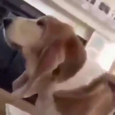 UuuUuuUuUUuU