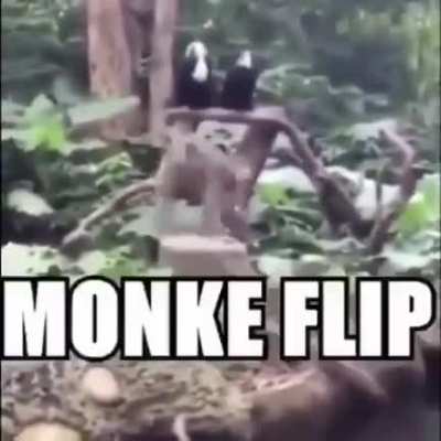 Monke flip