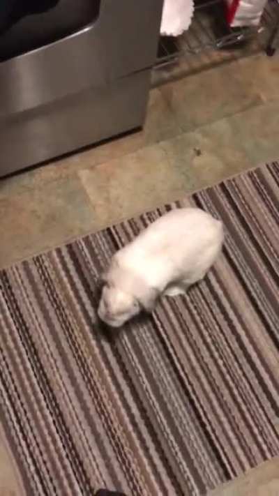 Brucey Binkies
