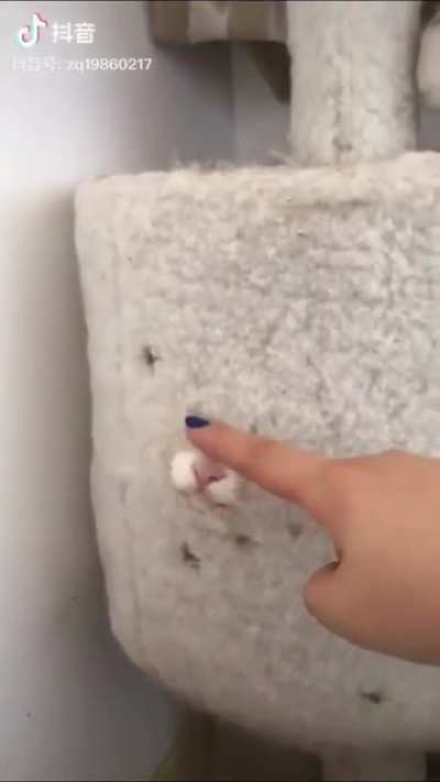 "Don't touch me, I'm just trying to chill!"