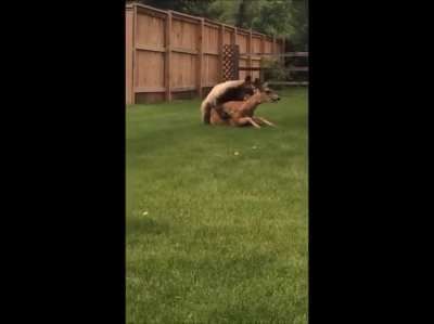 "Damn nature you scary!" Dude didn't know wtf to do in the background.
