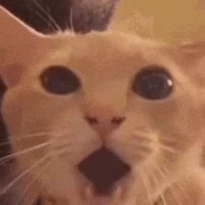 Yakuza 3 fans after i " block " them from banging their crush