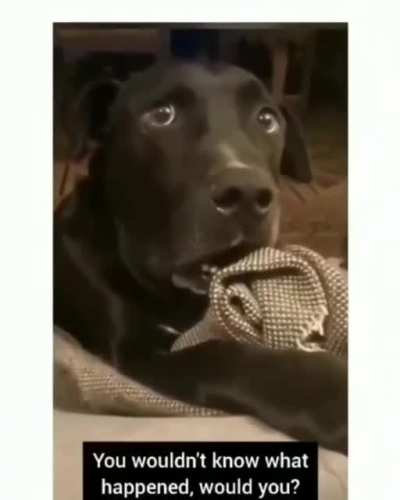 "What have I done"