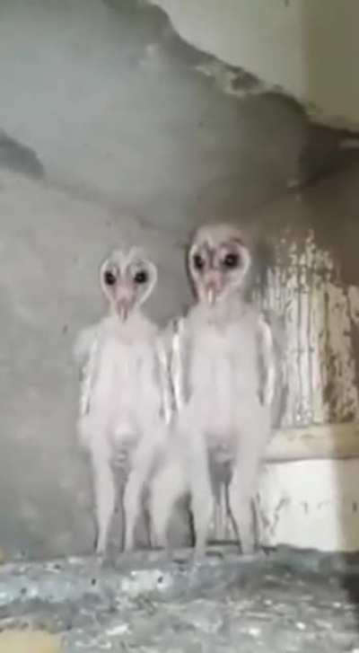 This is freaking me out
