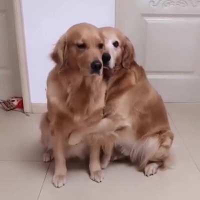 I don&rsquo;t care if this gets downvoted. It&rsquo;s adorable