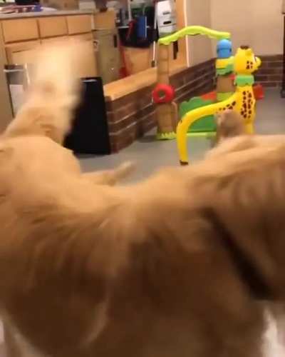 Hooman.. Please help don't just sit there and record this!