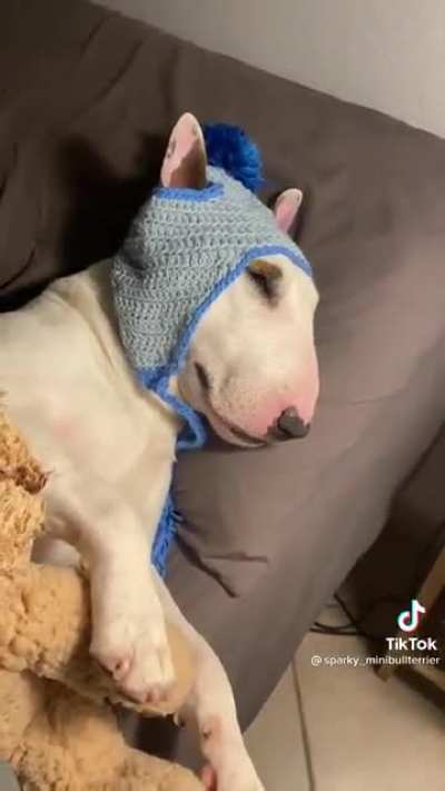 Shhh Walter has sleep, don't wake up