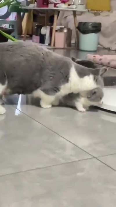 It's nap time, my child!