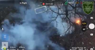 Russian assault team taken out by Ukrainian small arms fire and grenades in Toretsk. Stryletsky Rifle Battalion of the National Police. Published 05.05.2025