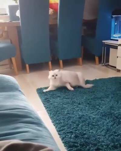 They're everywhere!