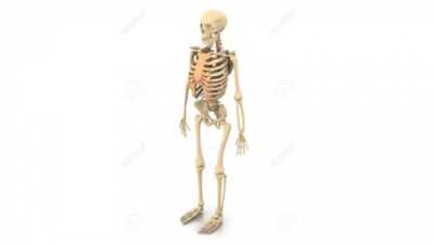 💀🛹