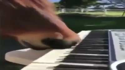 Ludwig van Amadeus Bach