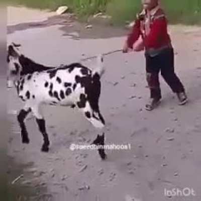 He deserved it