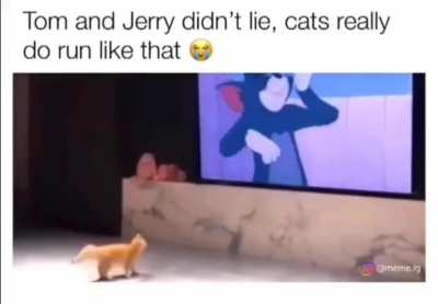 It&rsquo;s true