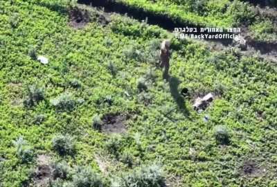 Unknown soldier getting killed by a drone