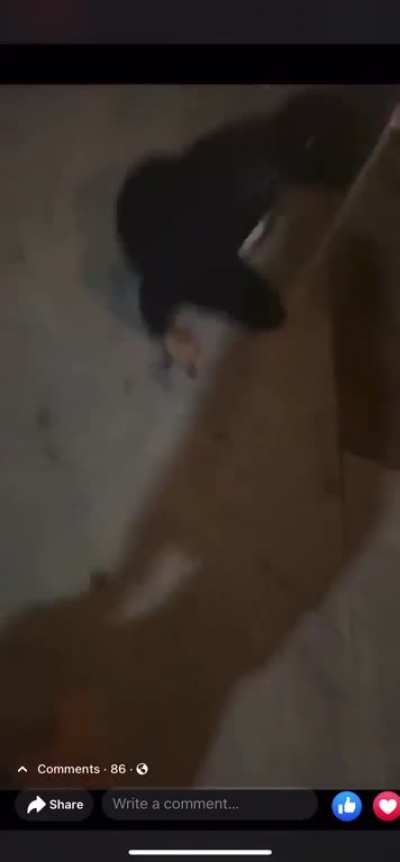 Throwback Video Of Sugarhill Keem (Mr Movelook) &amp;amp; His Twin Brother Milking and Beatin a girl up
