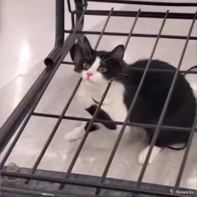 "Oh shit!"