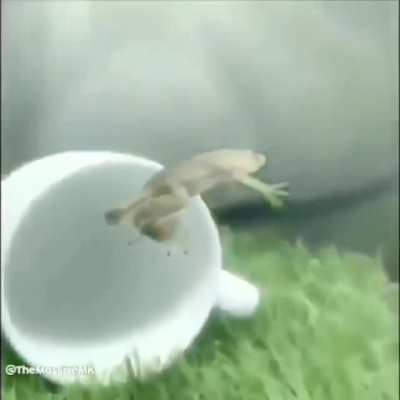 It's flying