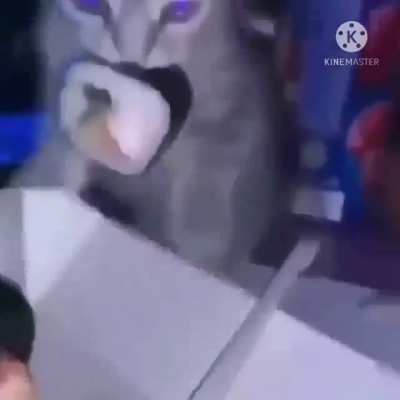 Oh no