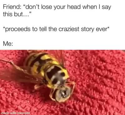 Damn it I lost it