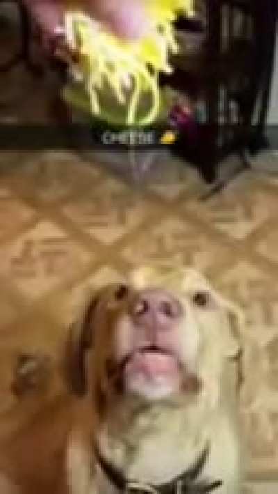 I'm 15 and this is yeet