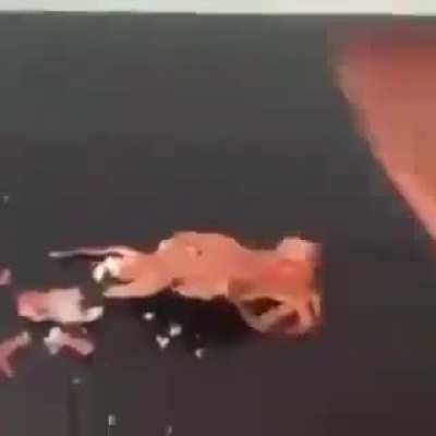 "You feelin it now Mr. Krabs?"