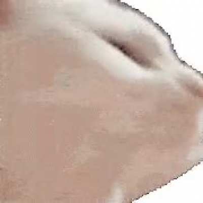 Have some catjam while getting some free karma :) &amp;lt;3