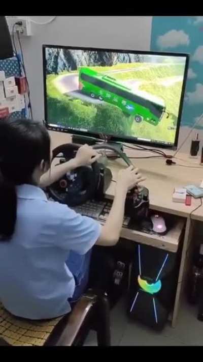 Professional truck driver