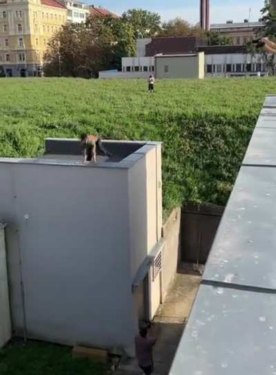 WCGW parkour